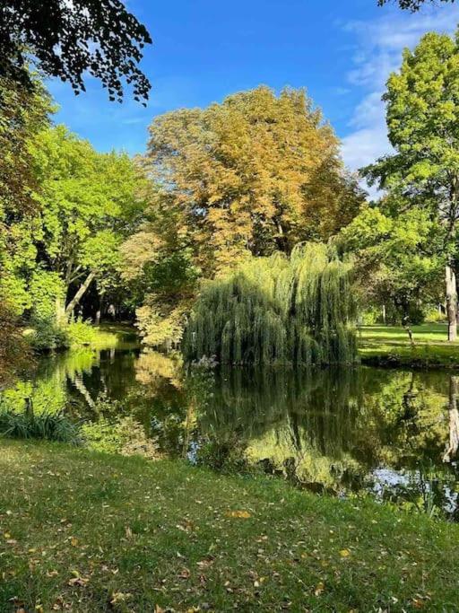 Ein Gemuetlicher Platz Im Gruenderzeitviertel Chemnitz Bagian luar foto